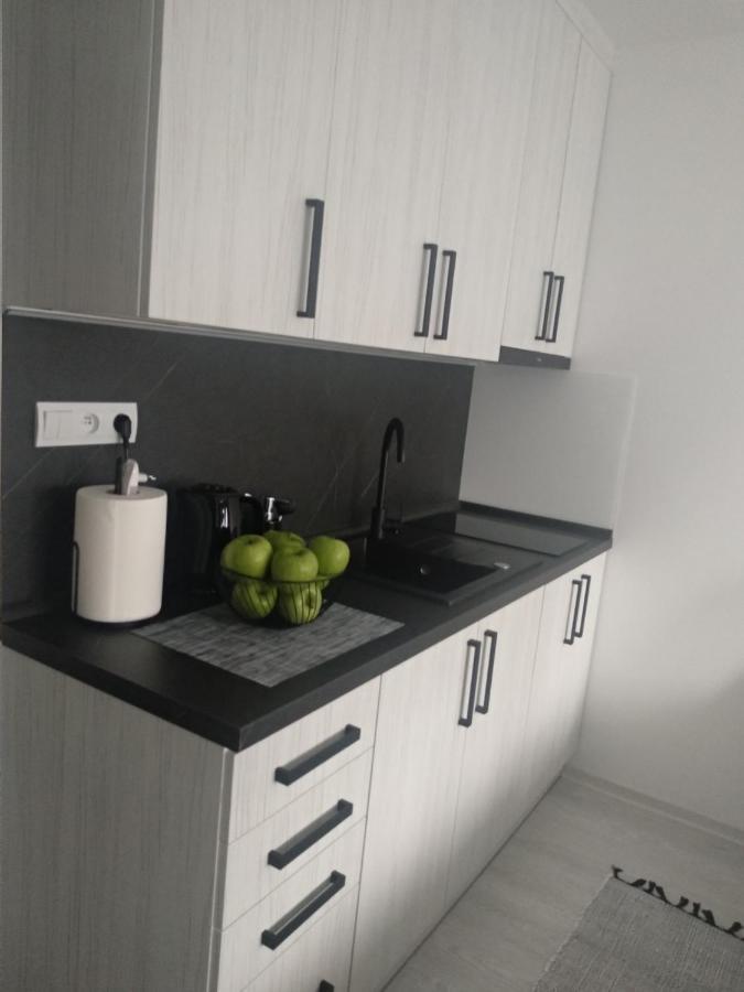 Apartment Nina Stará ľubovňa エクステリア 写真