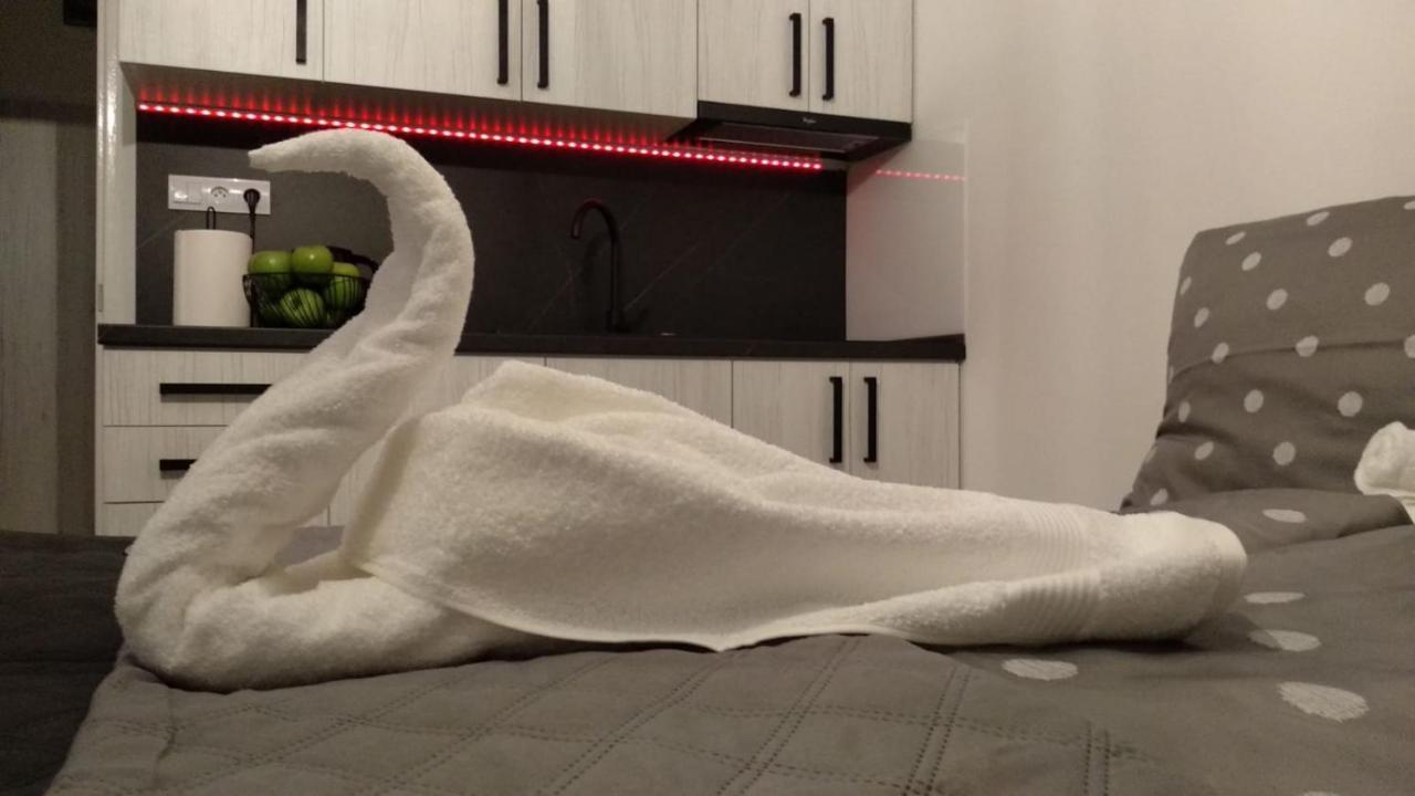 Apartment Nina Stará ľubovňa エクステリア 写真